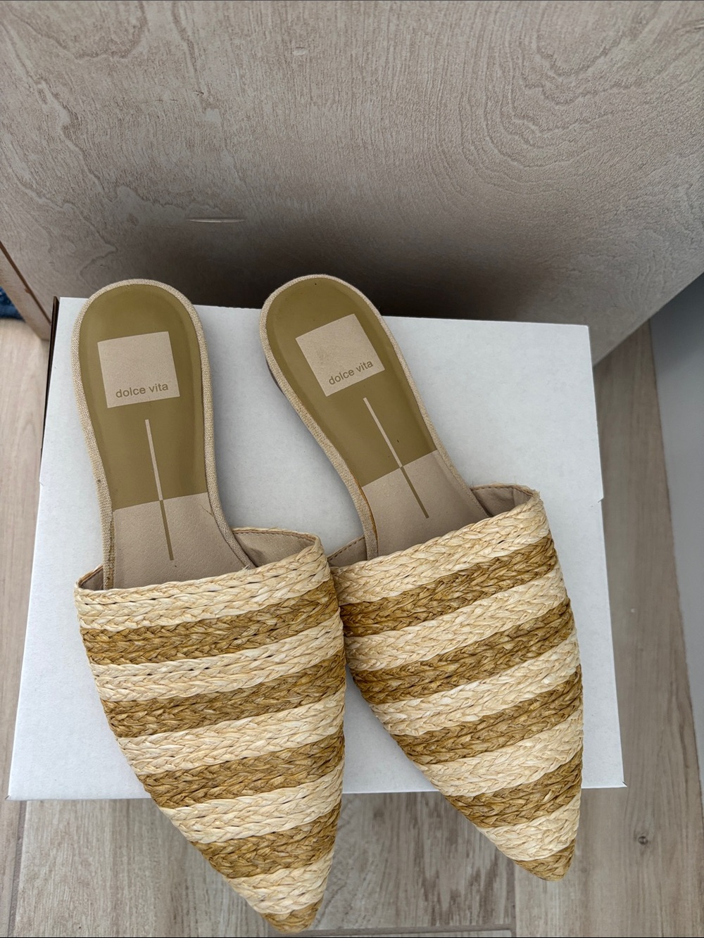 Dolce Vita Striped Woven Pointed Mule in Natural and Tan